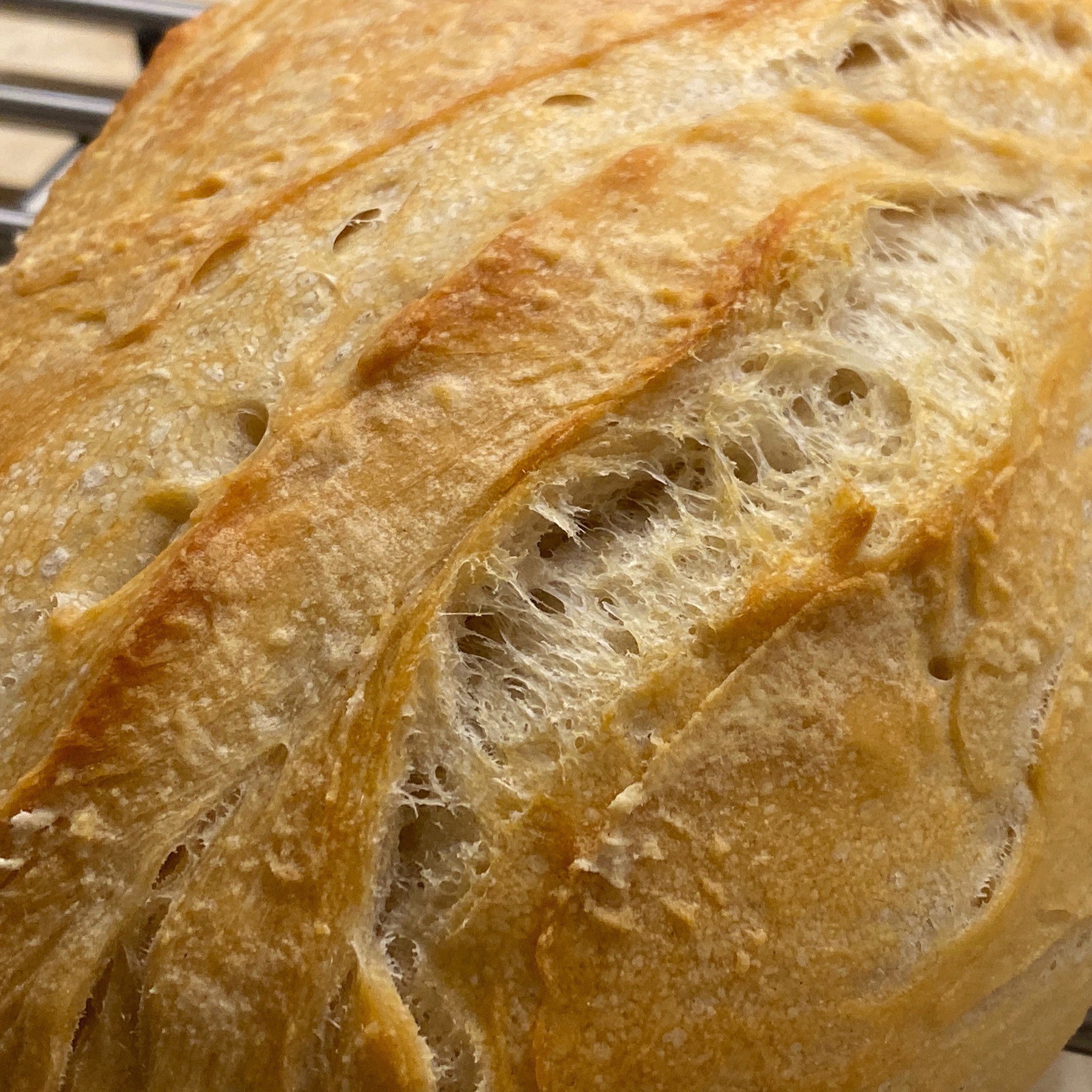 cracks in loaf of sourdough bread
