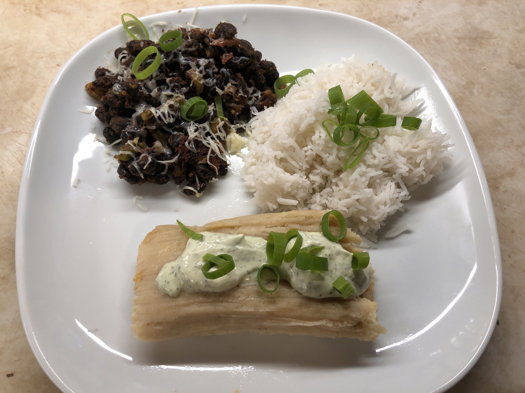 Empanada,black beans, and rice on plate.