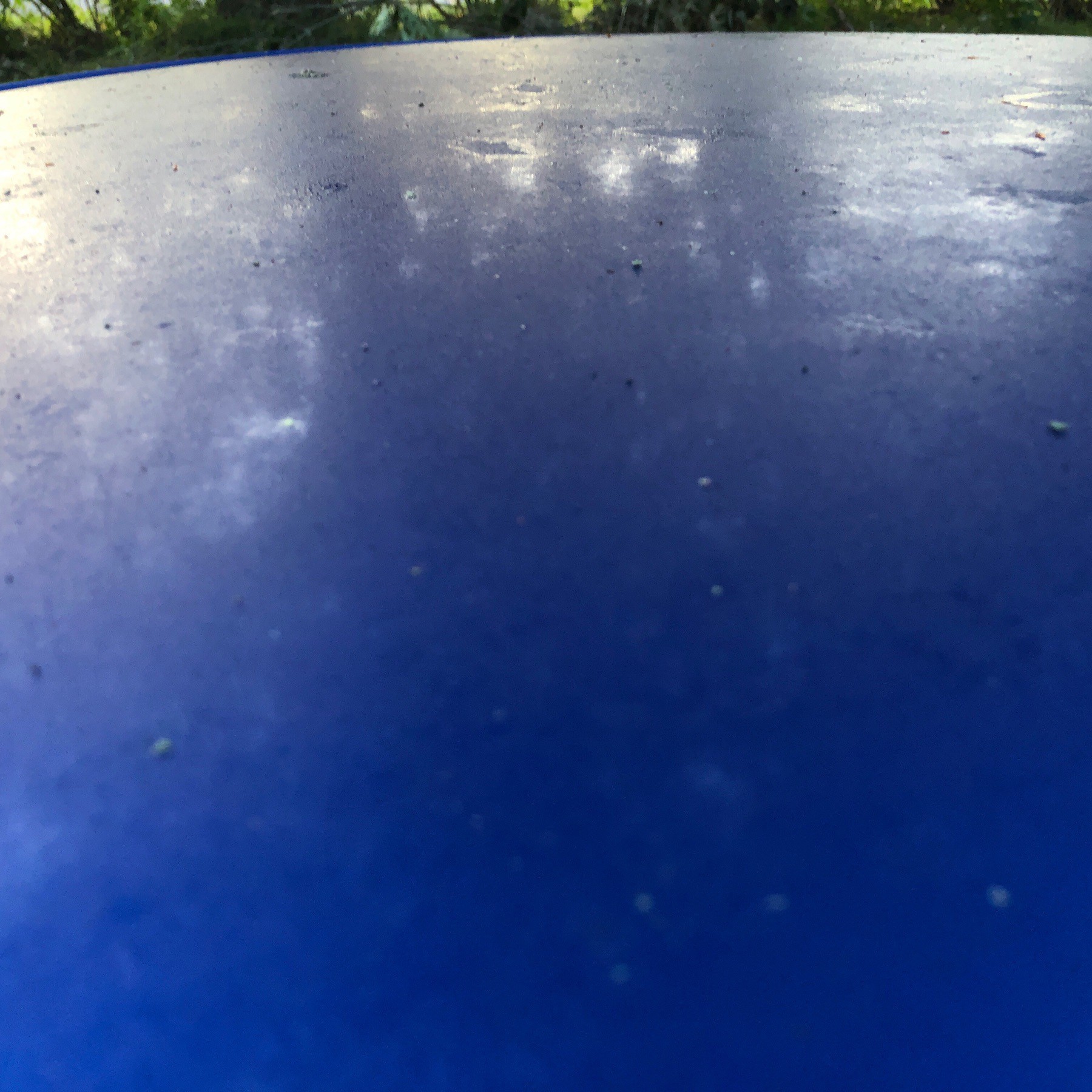 Dew on car roof.