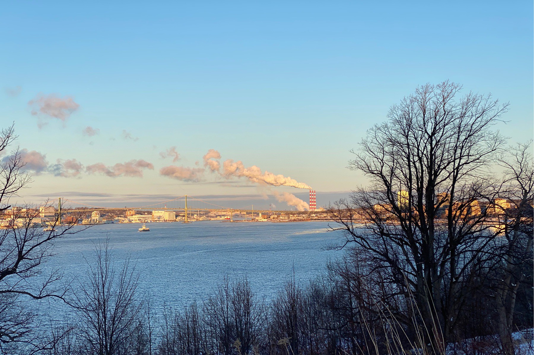 View of Halifax Harbour with trees and morning sky.