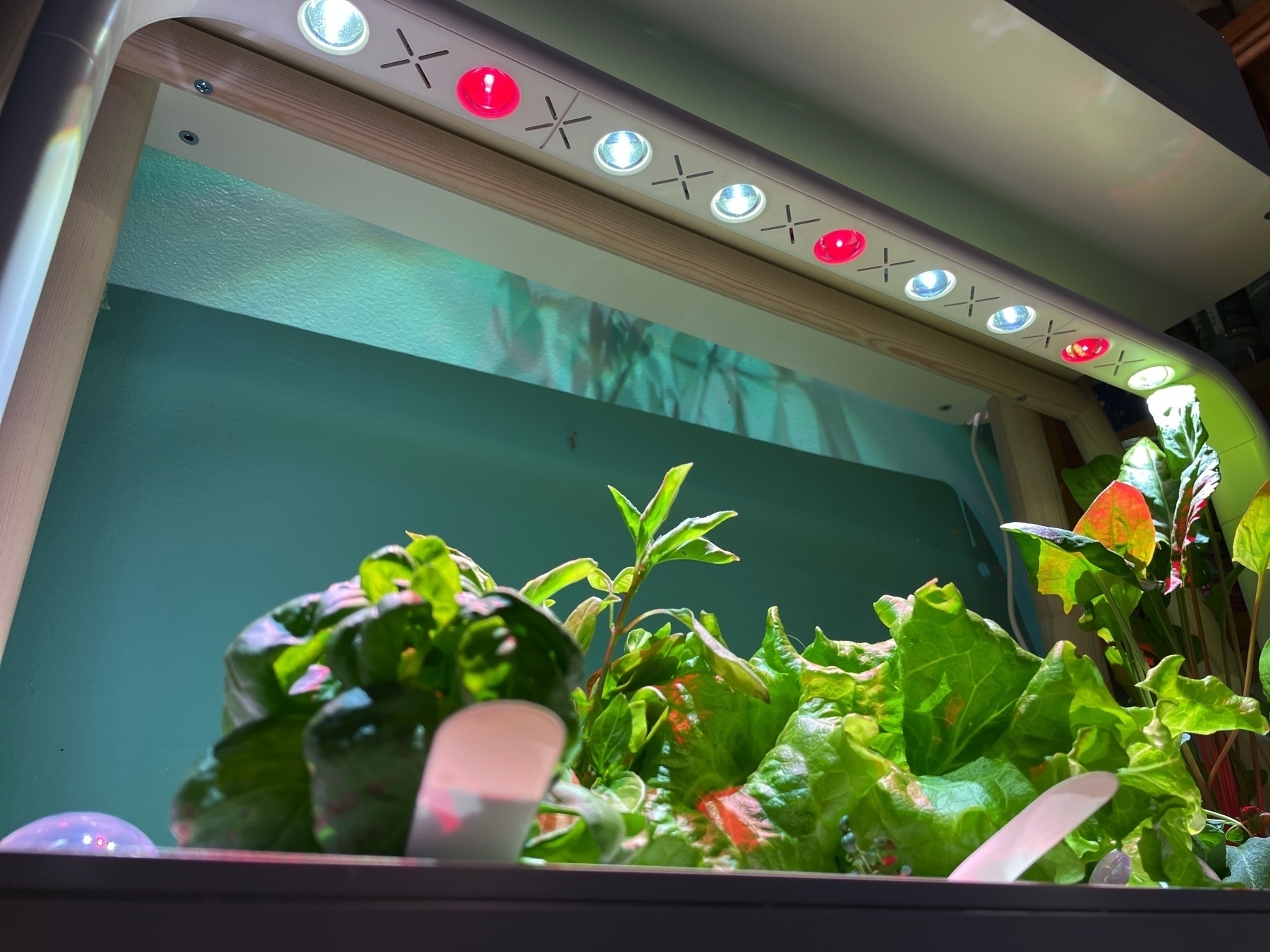 Lights of of hydroponic gardening system.