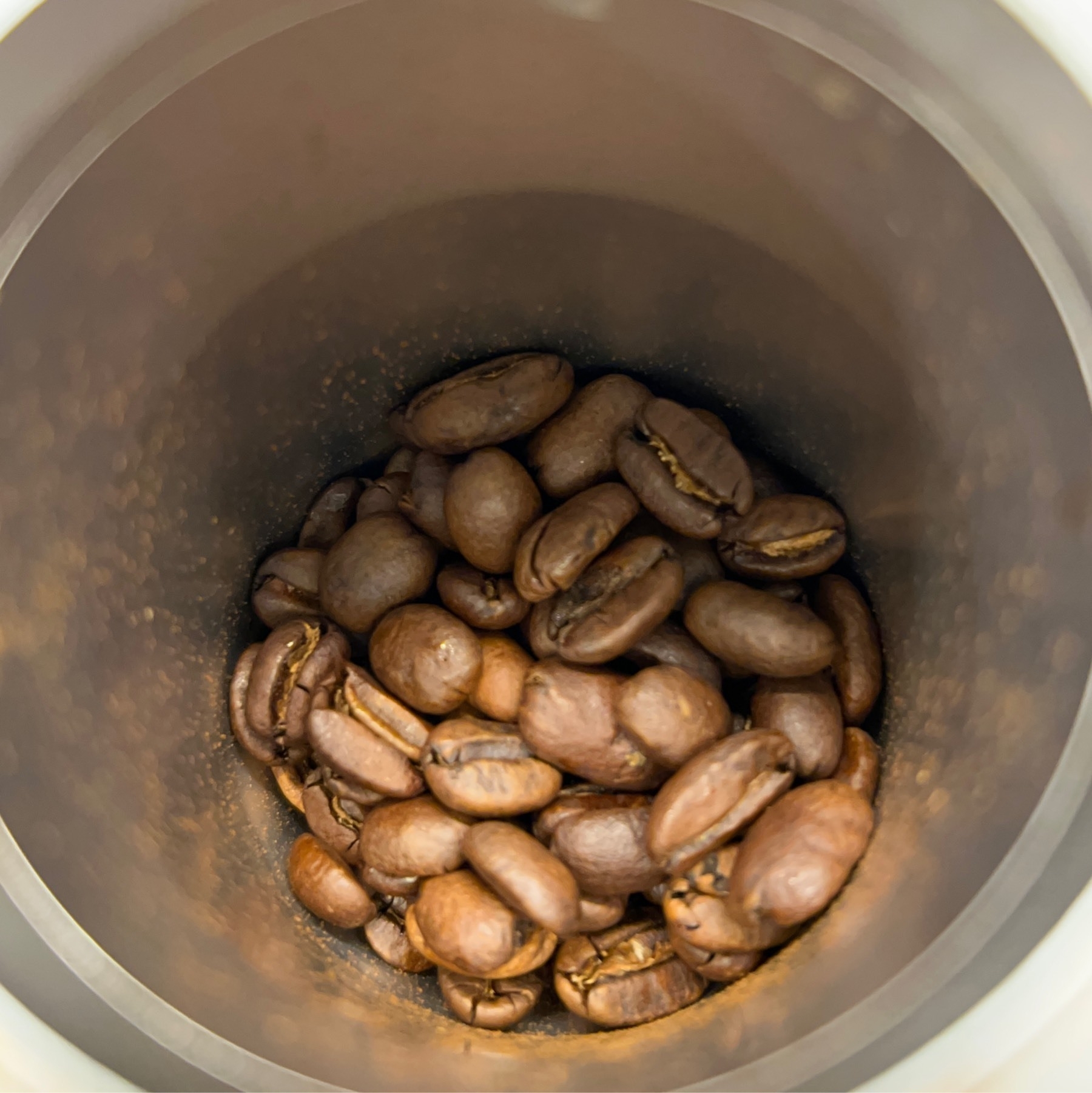 View into an aluminum container with some coffee beans at the bottom.