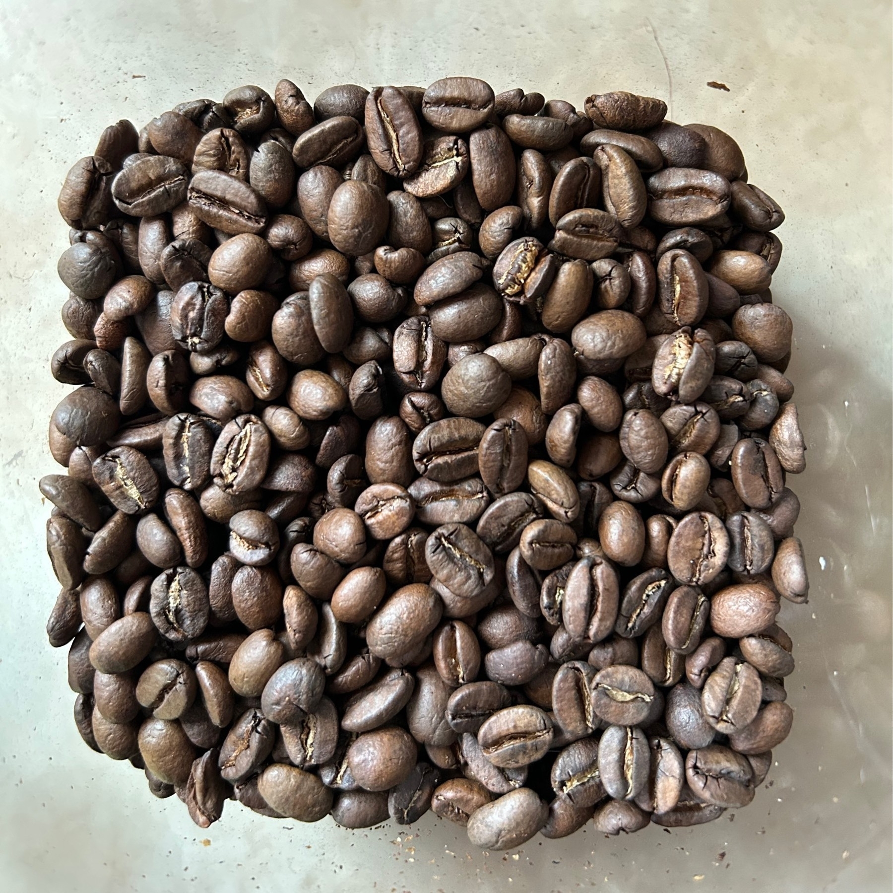 Overhead view of coffee beans in transparent square plastic container. 
