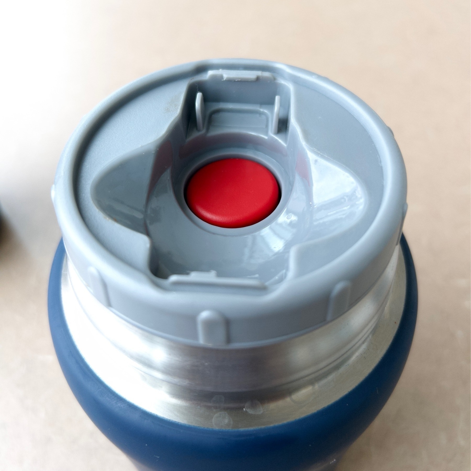 Top of a metal food jar with a red button in the recessed part of the lid. 