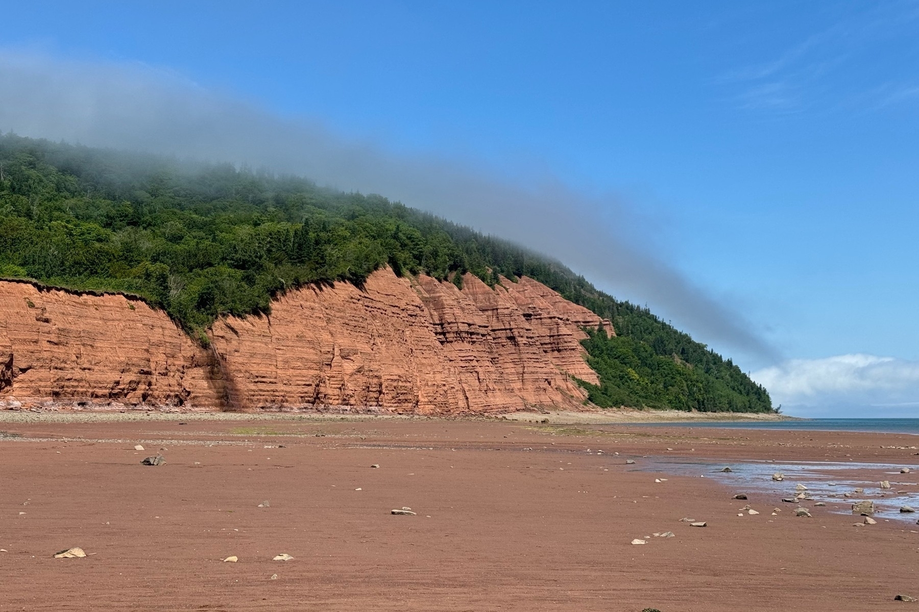 Large piece of land with grass on top and exposed red rock with grey fog on top and a red mud beach below it. 