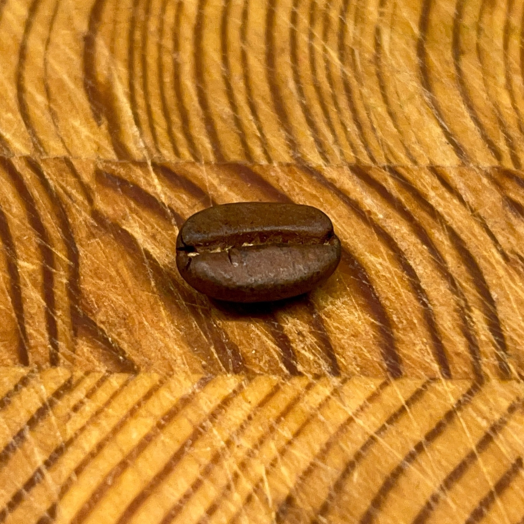 A singled roasted coffee bean on a wood grain cutting board. 