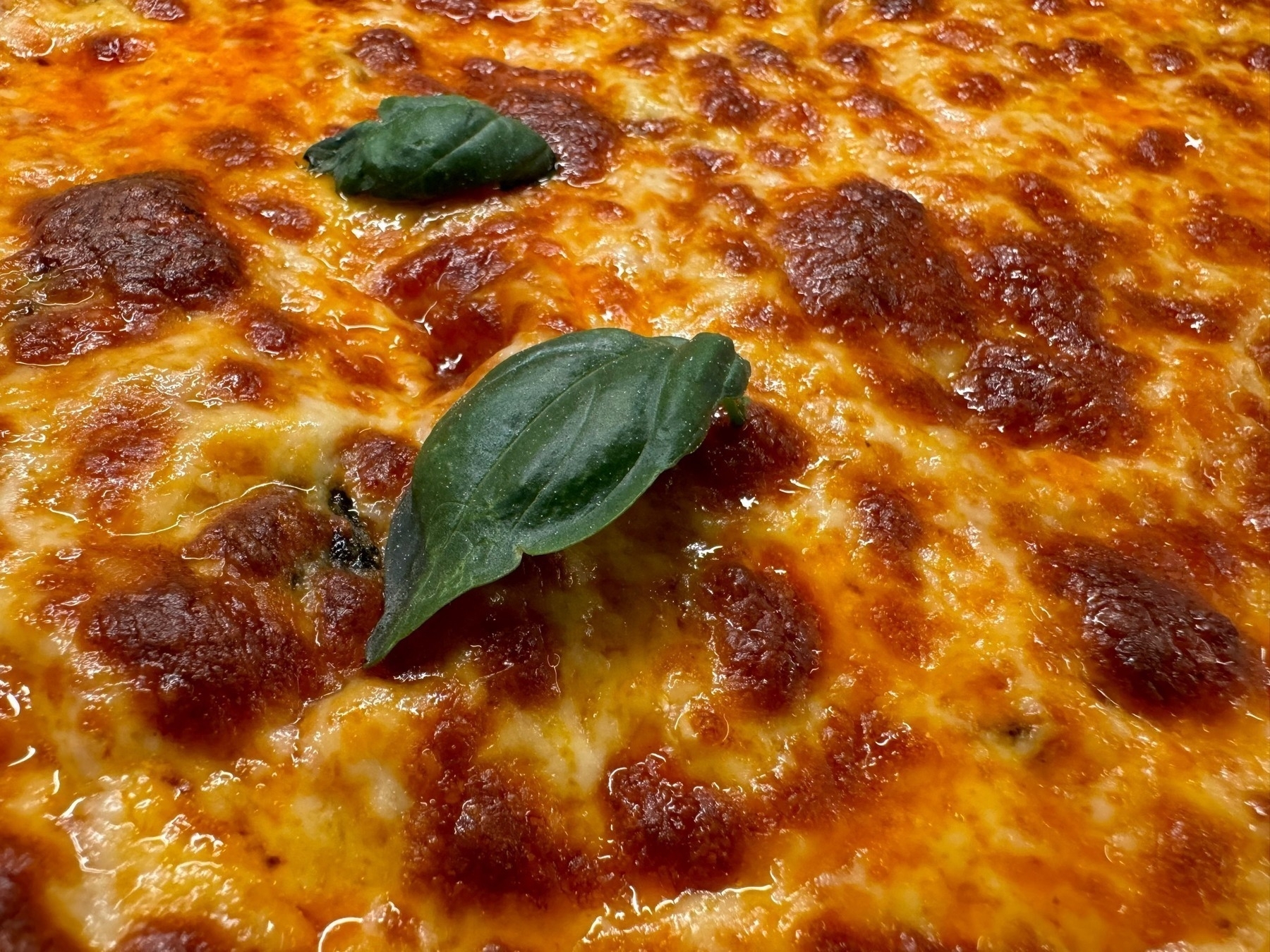 Closeup photo of a well done cheese pizza with two basil leaves on top of the cheese.