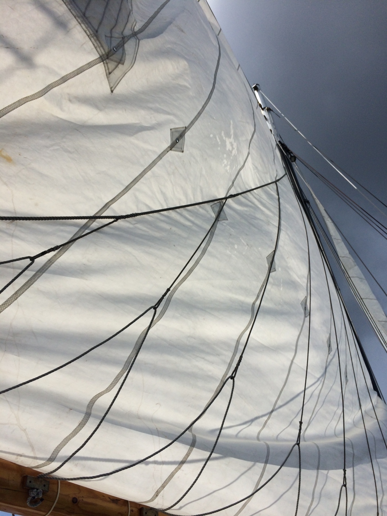 A sail on a sailboat filling the frame with ropes spread across the sail. 