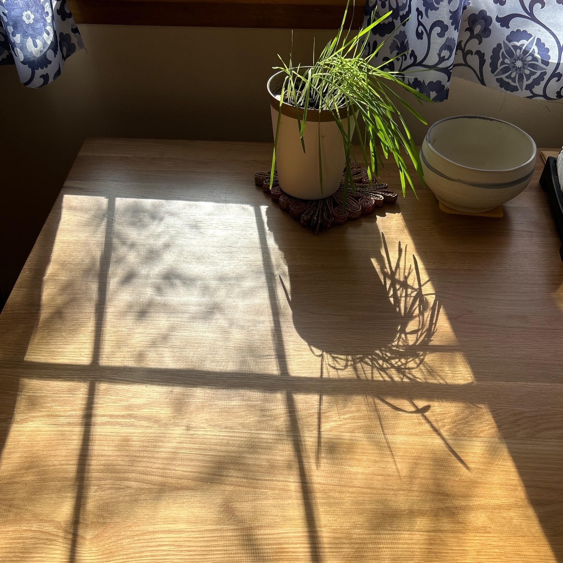 Shadow of window frame wooden table with a pot with grass growing in it on the table. 