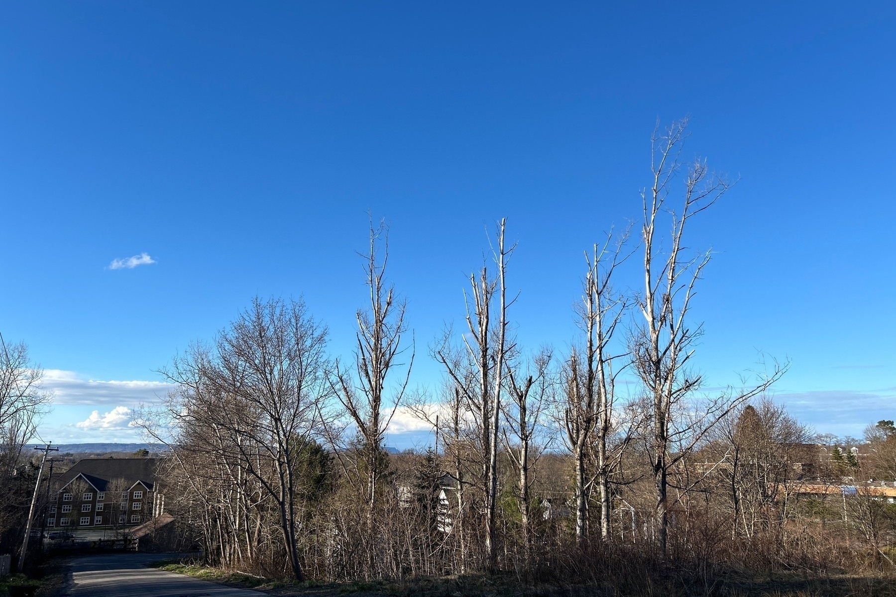 Blue sky with trees in the foreground.