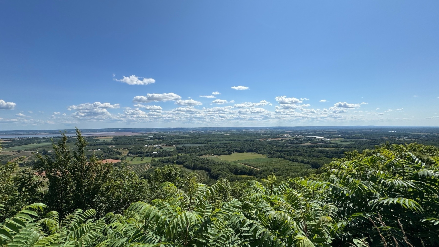 Blue sky with clouds over a view of green trees in a valley below. 