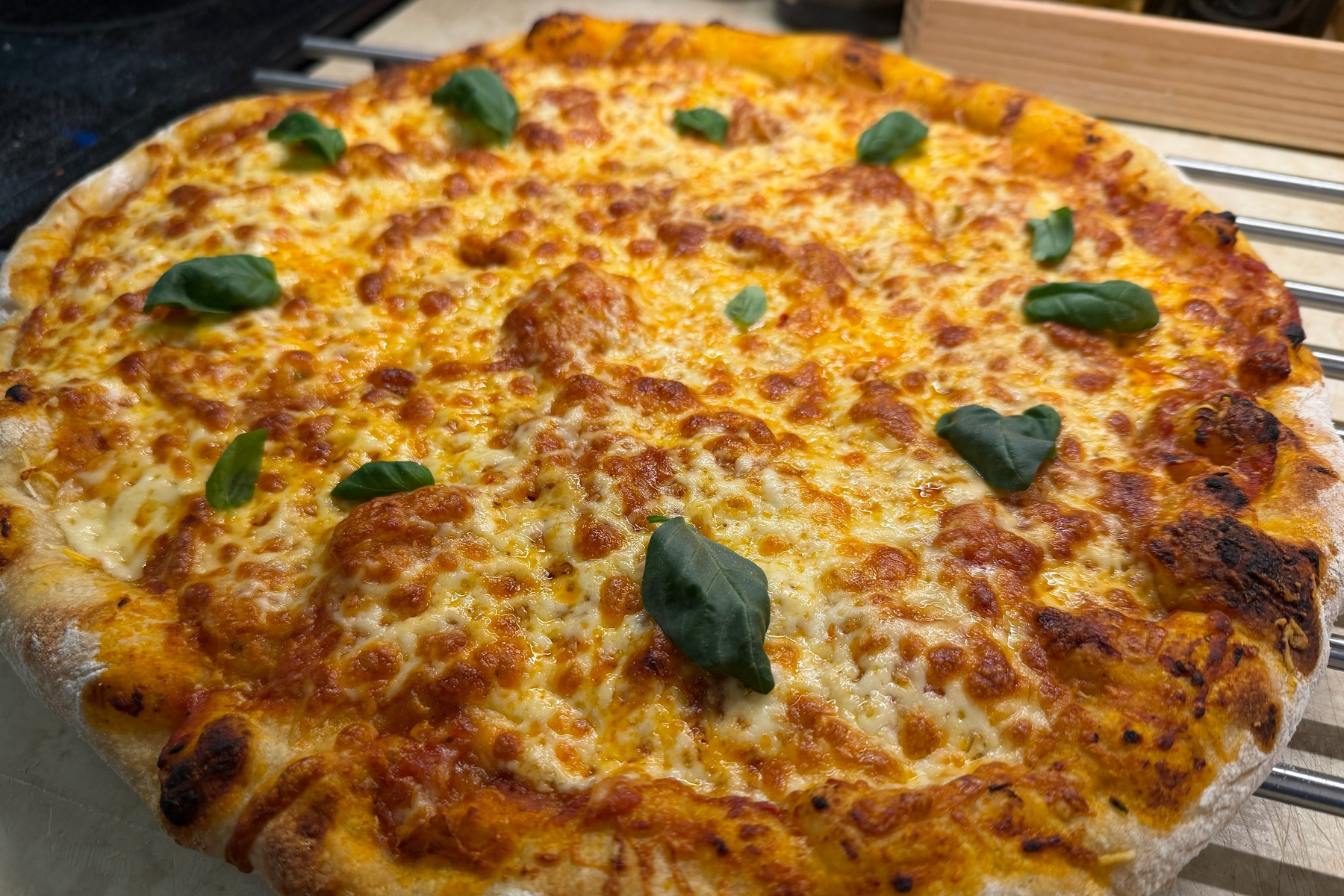 Cheese pizza with basil leaves on cooling rack. 
