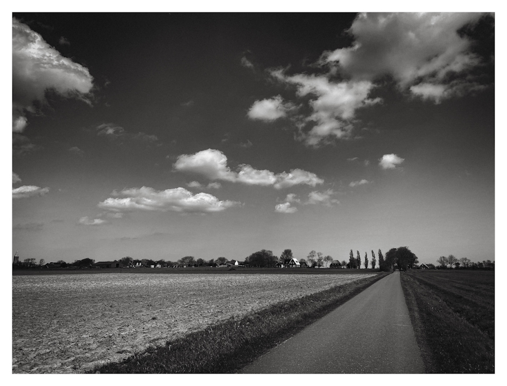 Road leading away to the horizon under a blue sky with a few clouds