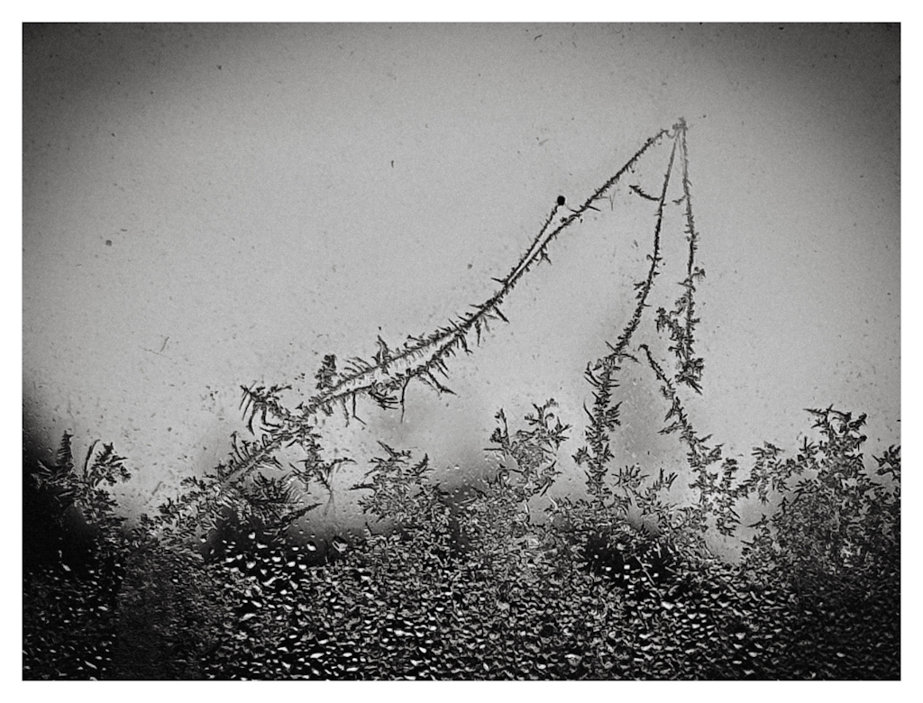 Ice growth on a window, in black and white. 