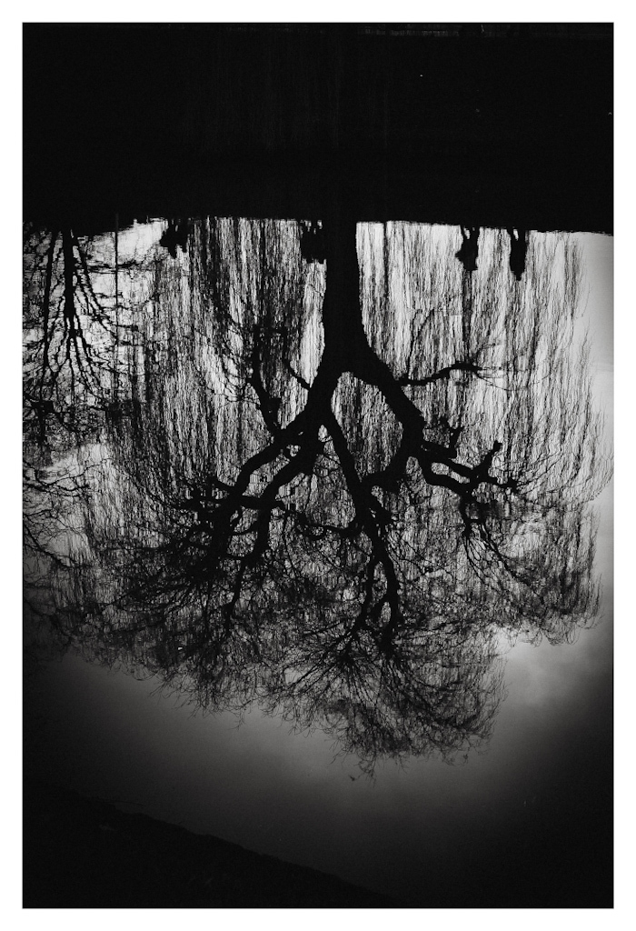 Reflection of a tree and human silhouettes in water, in black and white. 