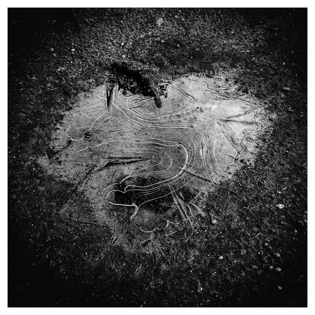 A frozen heart-shaped puddle showing an intricate pattern of lines in the ice. In black and white. 