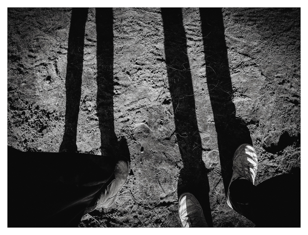 Long shadows of the legs of 2 people standing outside. In black and white. 