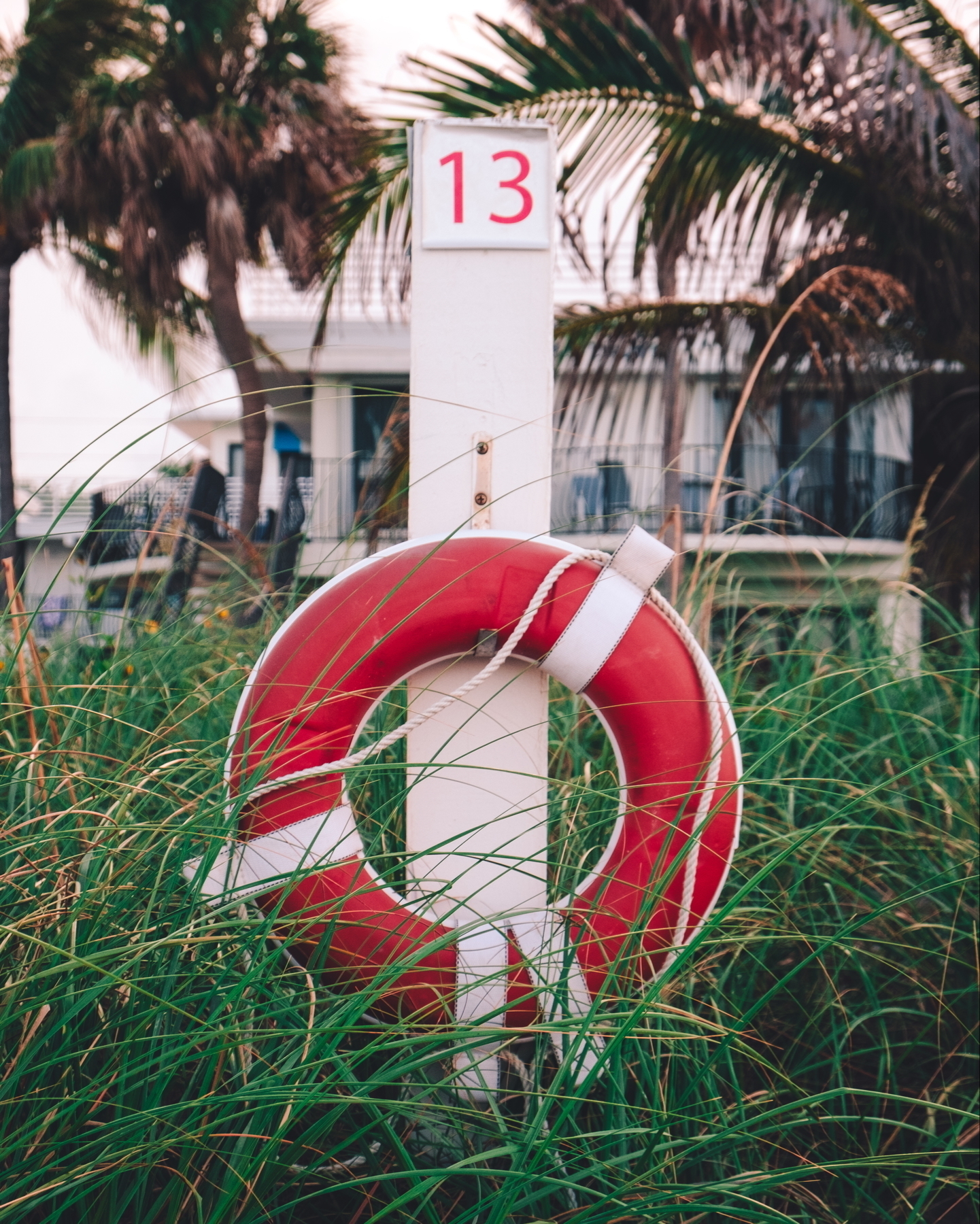 A red and white lifebuoy is attached to a white post marked with the number 13. The background includes tall grass, a palm tree, and part of a building.