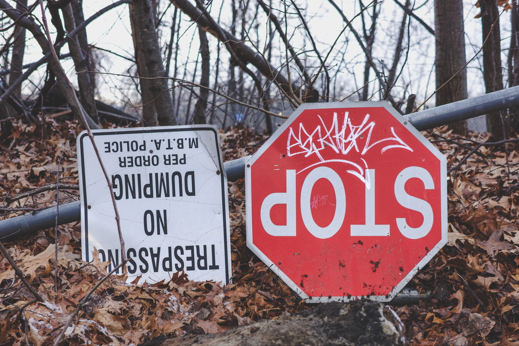 Two fallen signs in a wooded area. One is an upside-down “STOP” sign with graffiti, and the other is an overturned “NO TRESPASSING, NO DUMPING” sign. Both are surrounded by fallen leaves and branches.