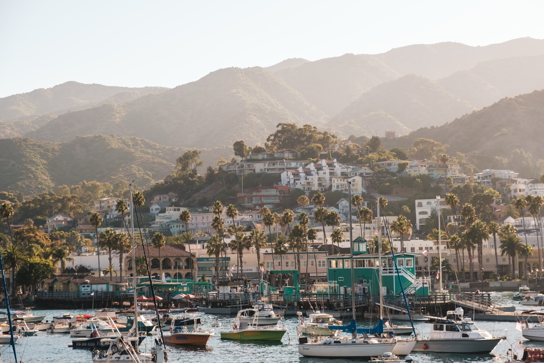 A coastal town with houses on a hillside, palm trees, and a marina filled with various boats. Hills are visible in the background under soft, diffused lighting.