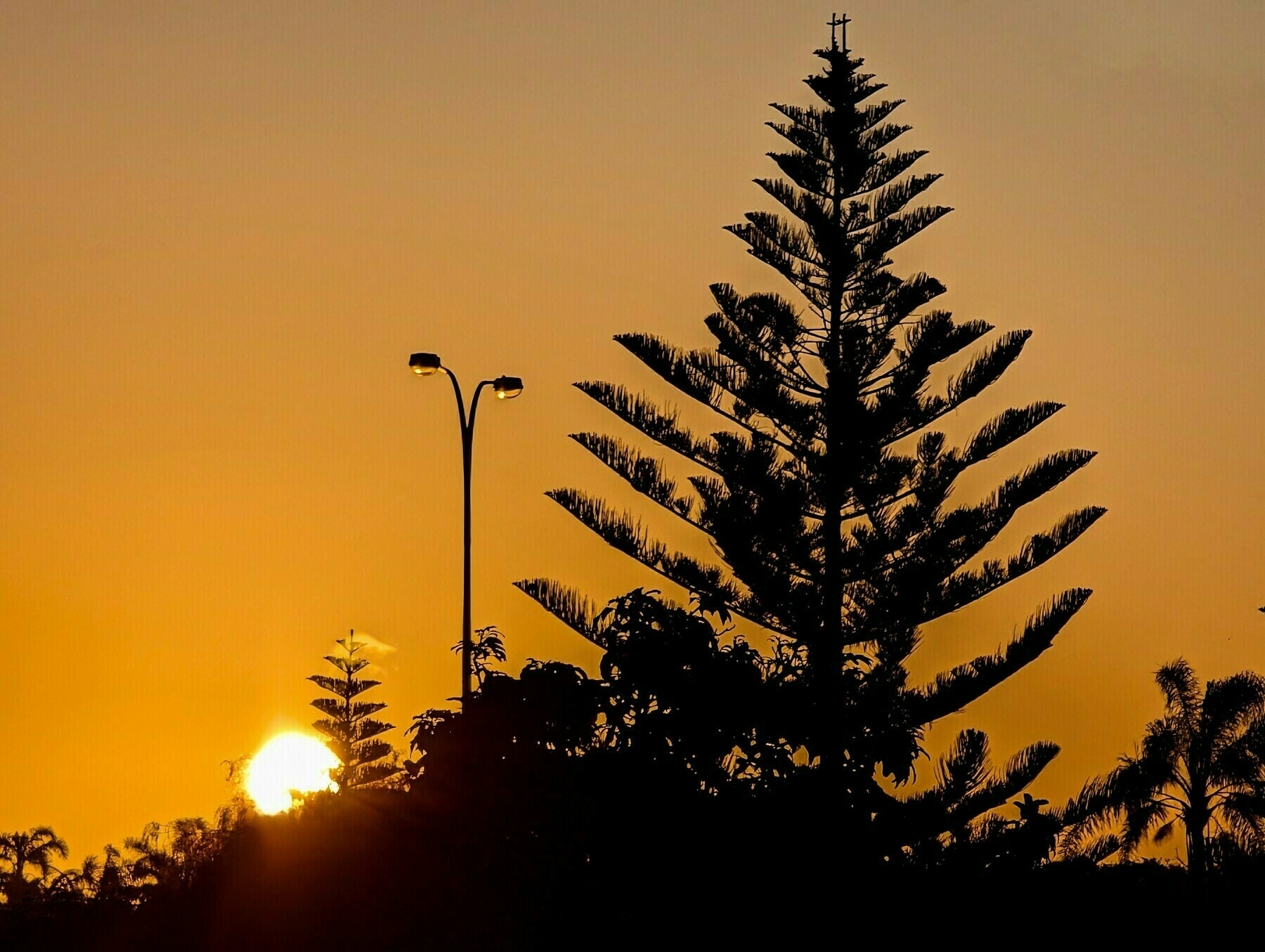 Auto-generated description: A sunset over a silhouette of trees with a streetlight in the foreground.