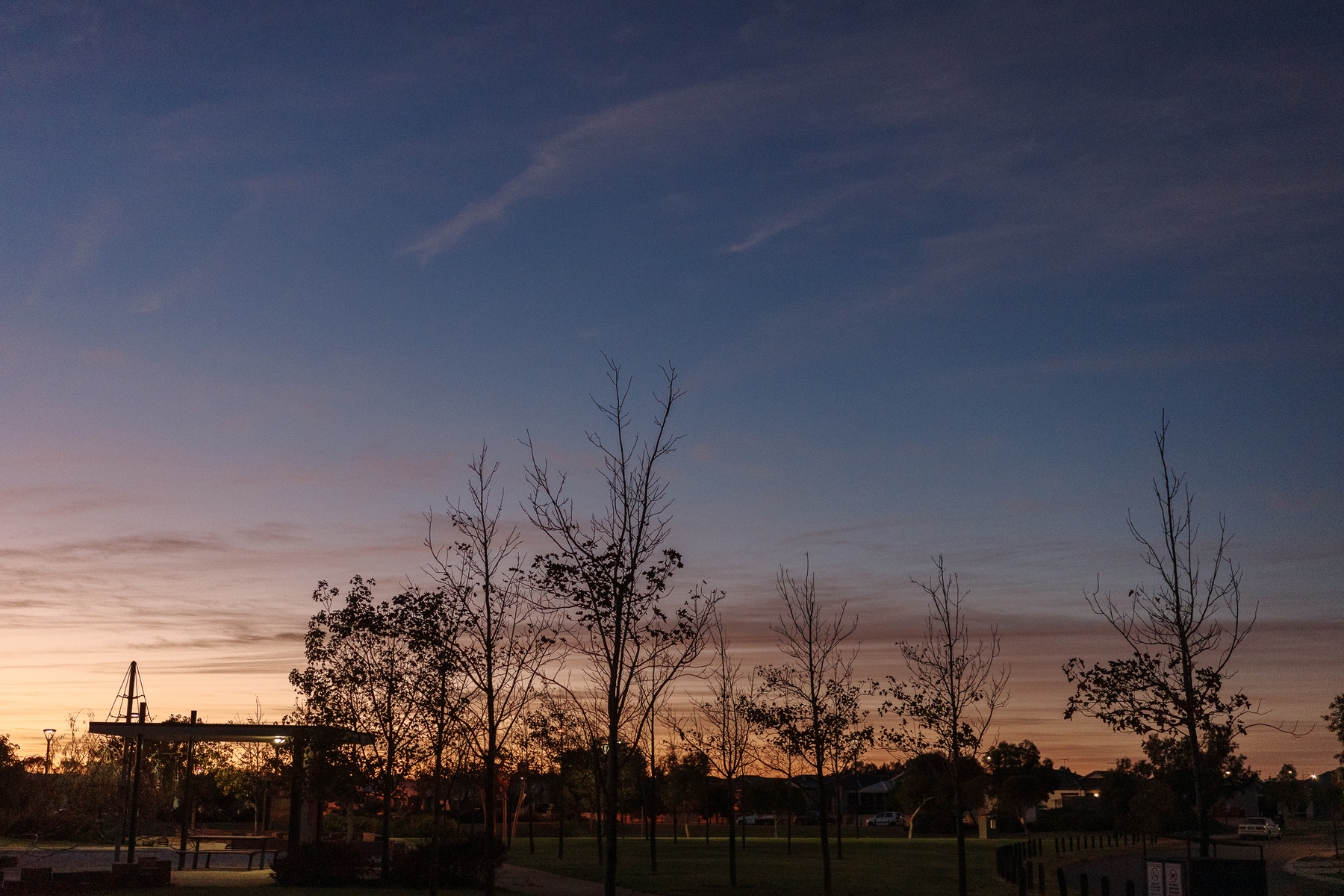 Auto-generated description: A serene sunset sky with silhouettes of leafless trees and minimal structures, set against an open park landscape.