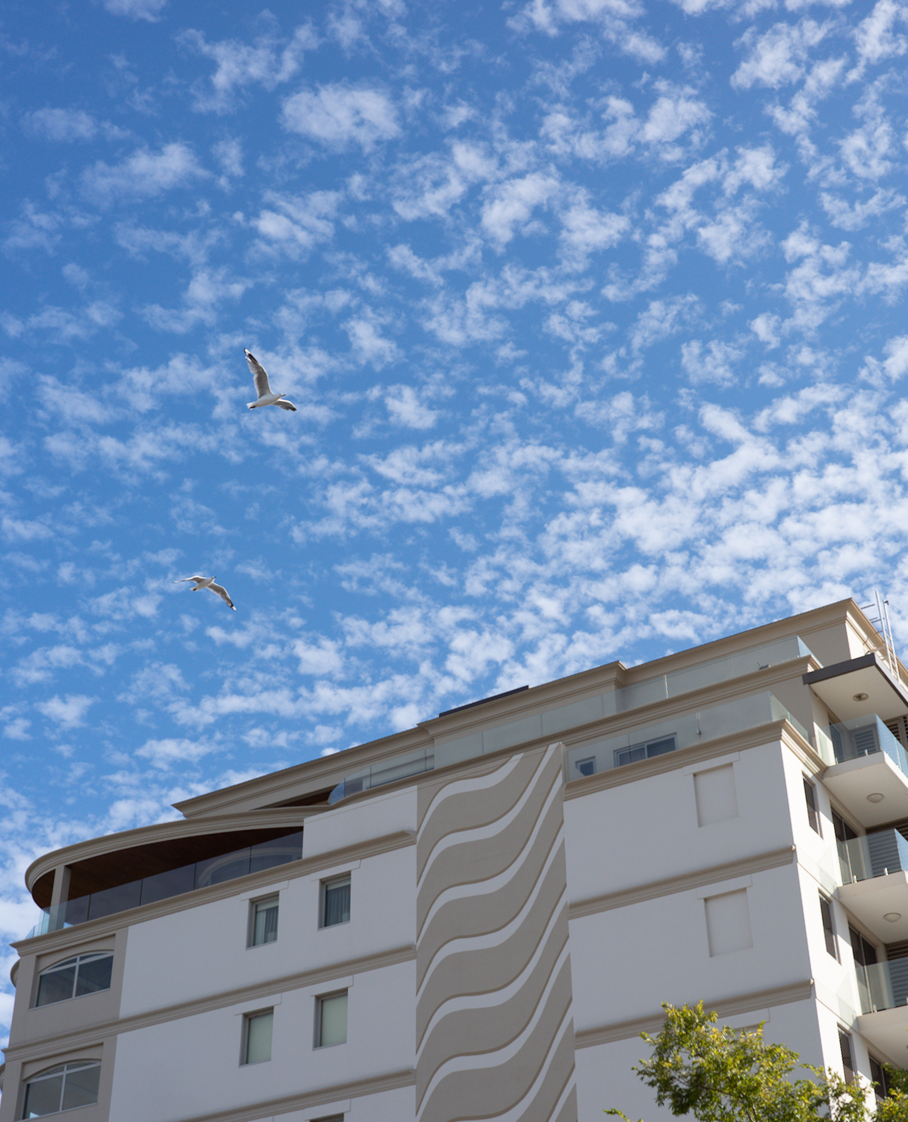 Auto-generated description: A modern multi-story building with a wavy facade is set against a backdrop of a clear blue sky with a few clouds and two flying birds.