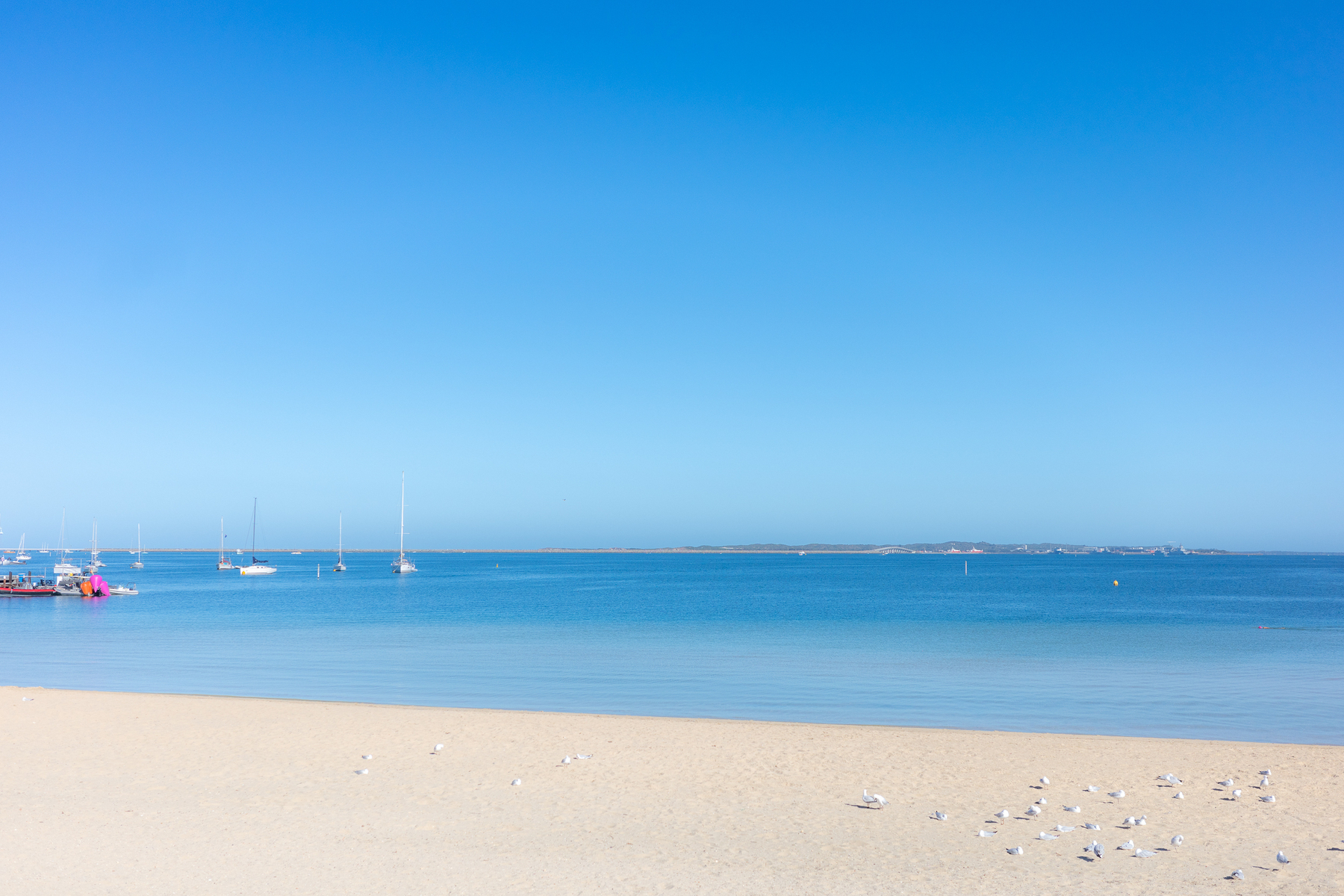 A serene beach scene with clear blue skies, calm waters, sailboats, and seagulls on the sandy shore.