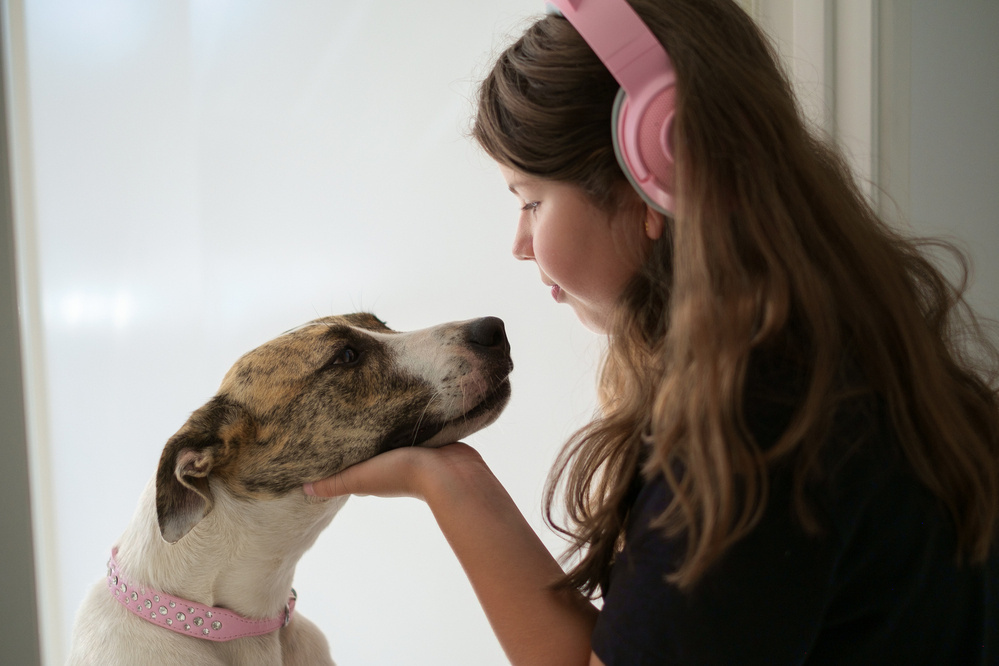 A girl wearing pink headphones gently holds a dog’s face in her hand.