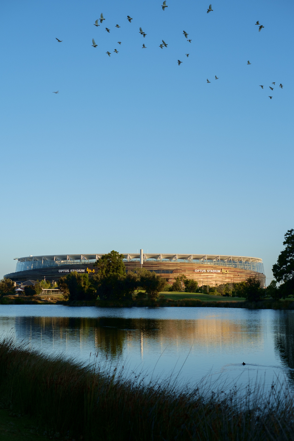 A stadium, identified as Optus Stadium in Perth, is reflected in a serene body of water under a clear blue sky with a flock of birds flying above.