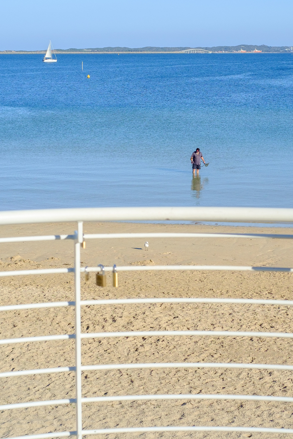 A person stands in shallow water near the shore, with a sailboat in the distance and a railing with padlocks in the foreground.