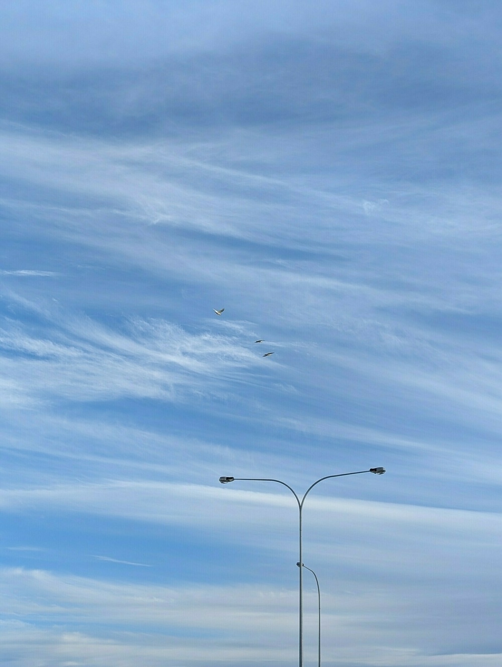 A pair of streetlights stand under a vast sky filled with gentle, wispy clouds, accompanied by a few birds flying in the distance.