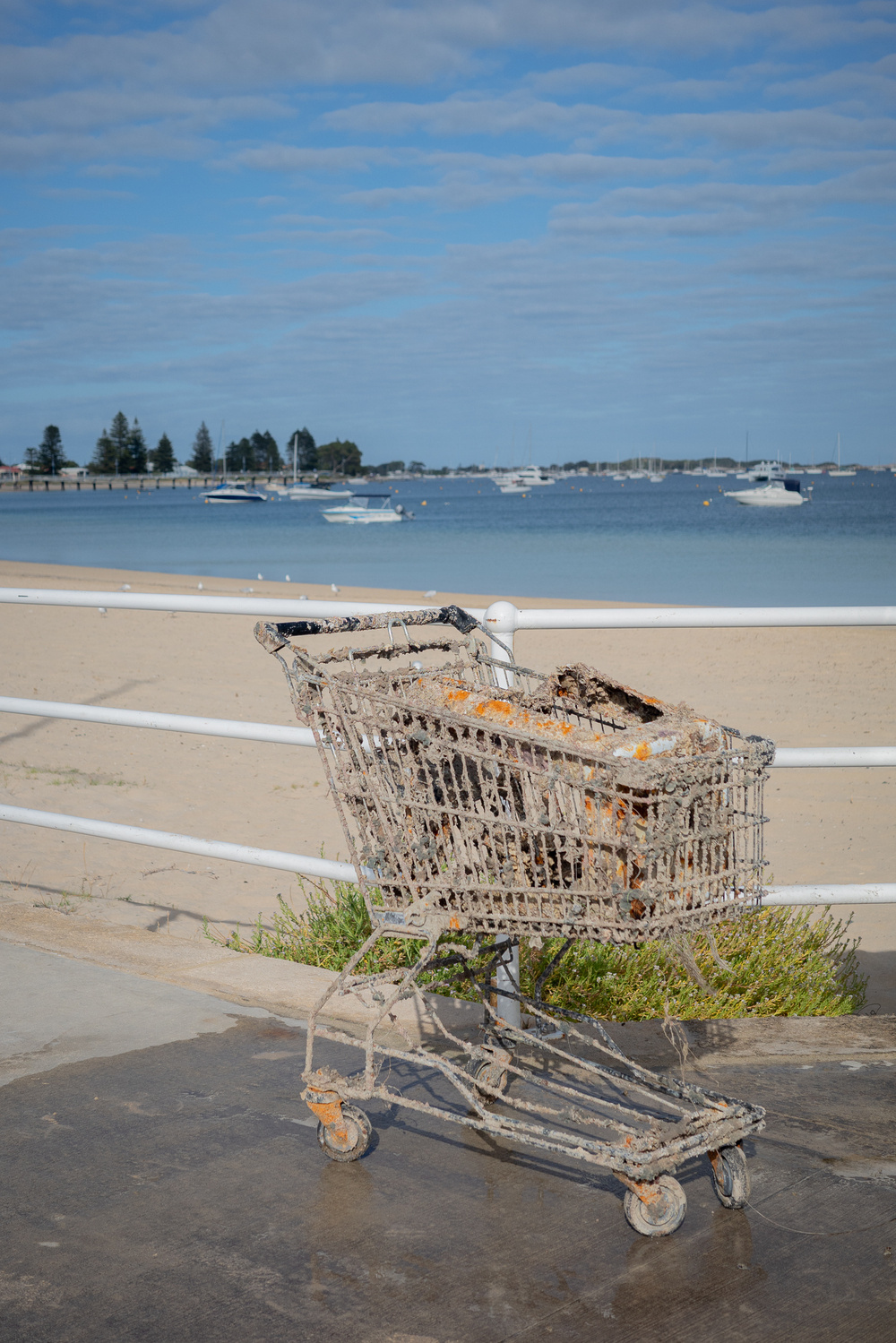 A rusty shopping cart is filled with debris and situated near a tranquil beach with boats in the background.