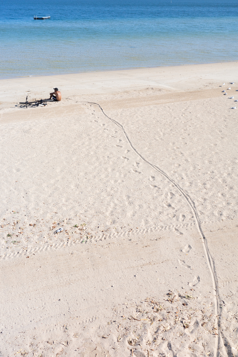 A person sits next to a bicycle on a sandy beach with gentle waves in the background.