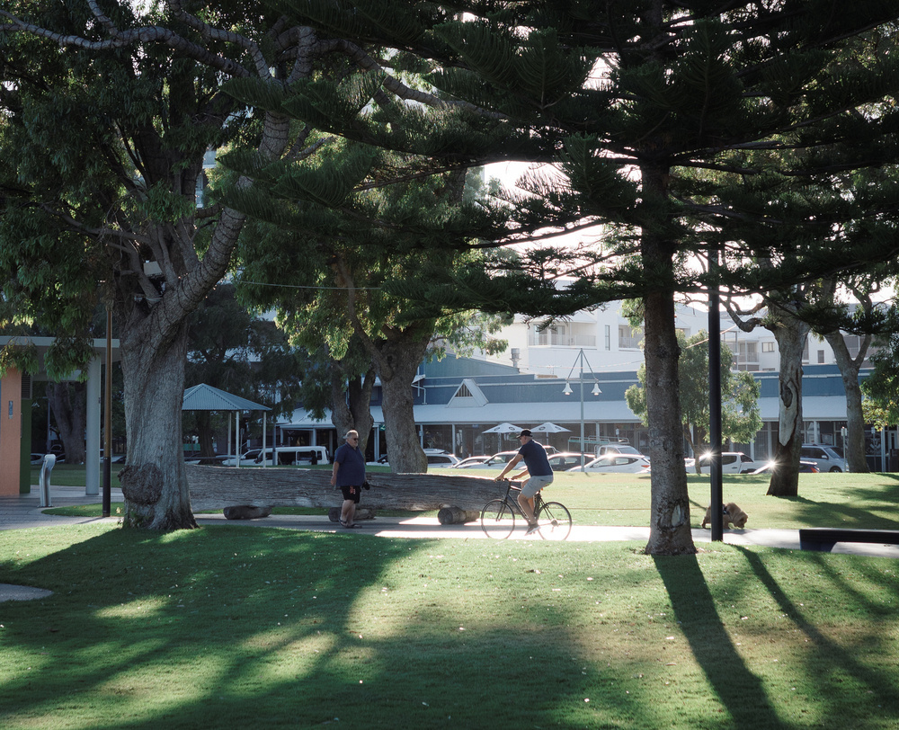 Two people enjoy a leisurely day in a sunlit park, with one person walking and another cycling, surrounded by large trees and adjacent to buildings.