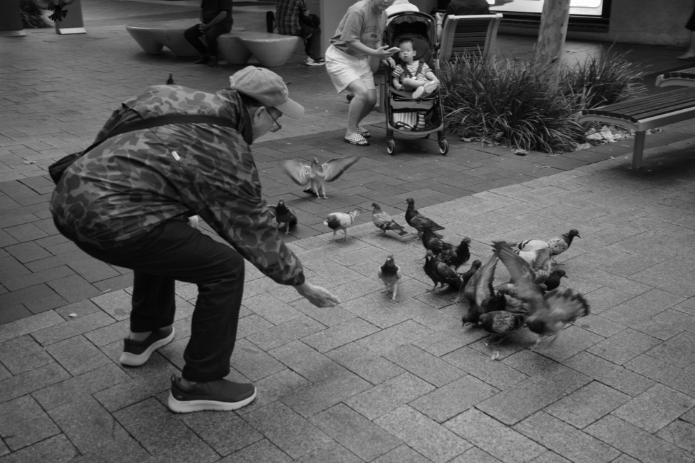 A person is crouched down feeding a group of pigeons, while another individual with a baby stroller looks on nearby.