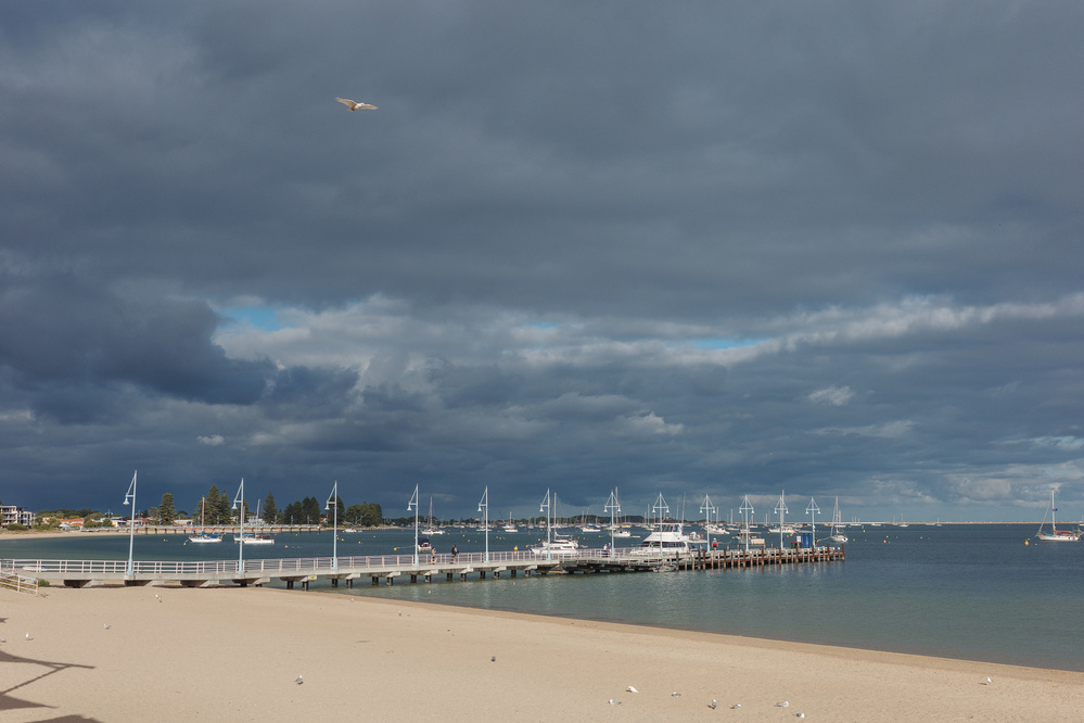 A sandy beach with scattered seagulls sits beside a pier with boats, under a dramatic, cloudy sky.