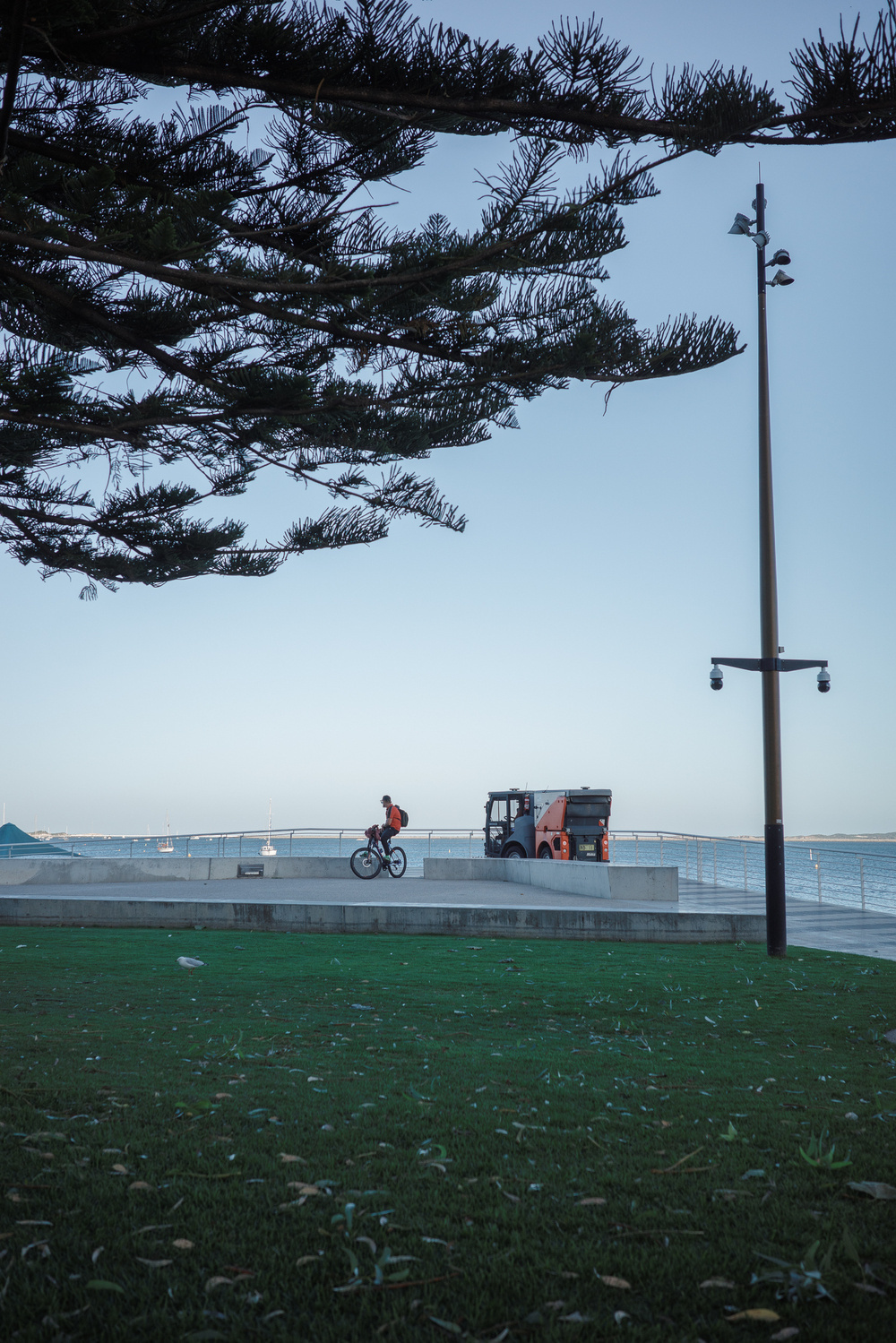 A person rides a bicycle along a waterfront path next to a parked vehicle, with a tree and light post in the foreground.