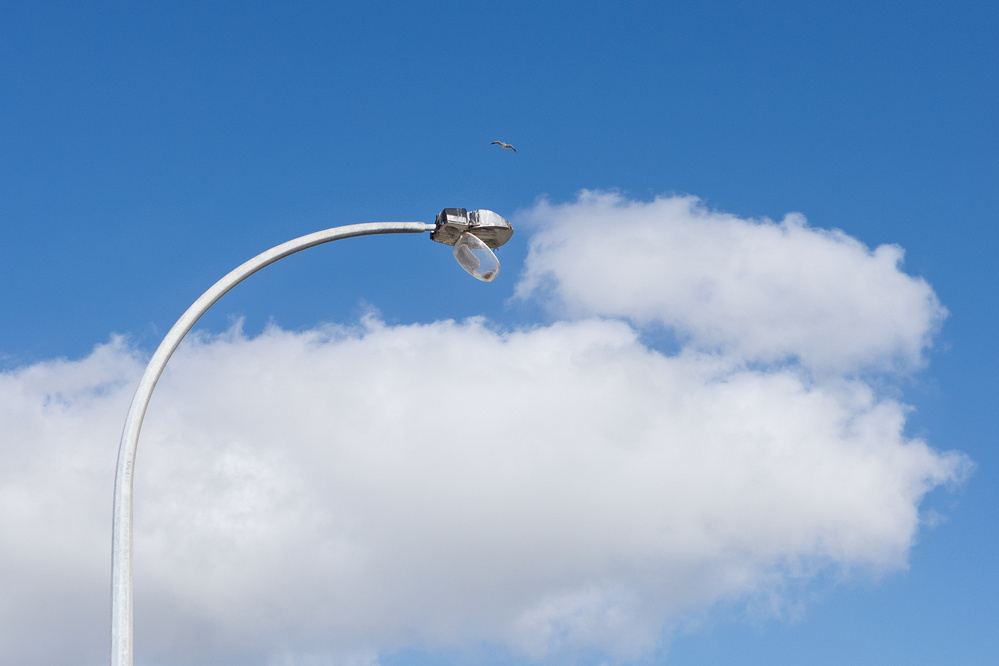 A streetlight is set against a bright blue sky with a few fluffy clouds and a bird flying above.