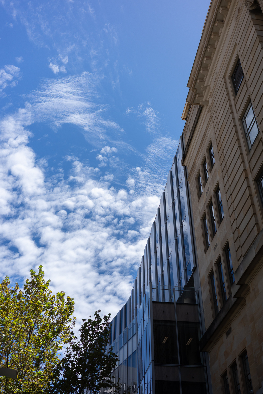 A modern glass building and an older stone structure are juxtaposed against a vibrant blue sky with scattered clouds and a nearby tree.