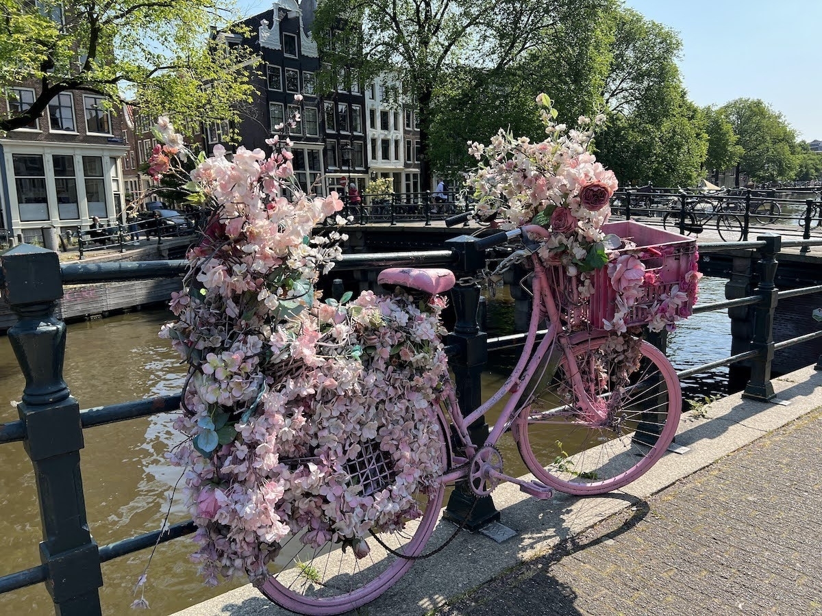 pink bicycle in amsterdam covered in flowers