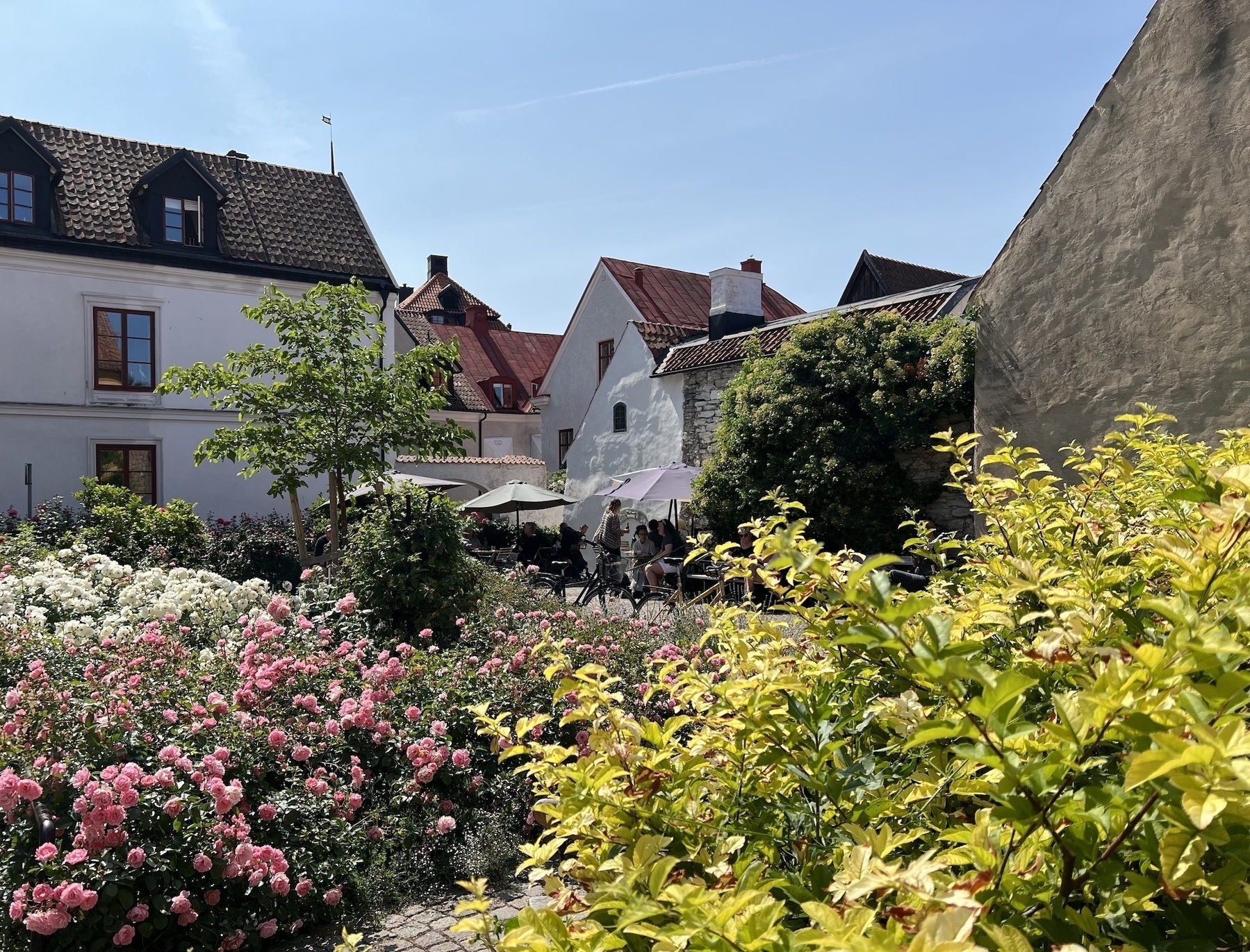 a square during summer in Visby, Gotland