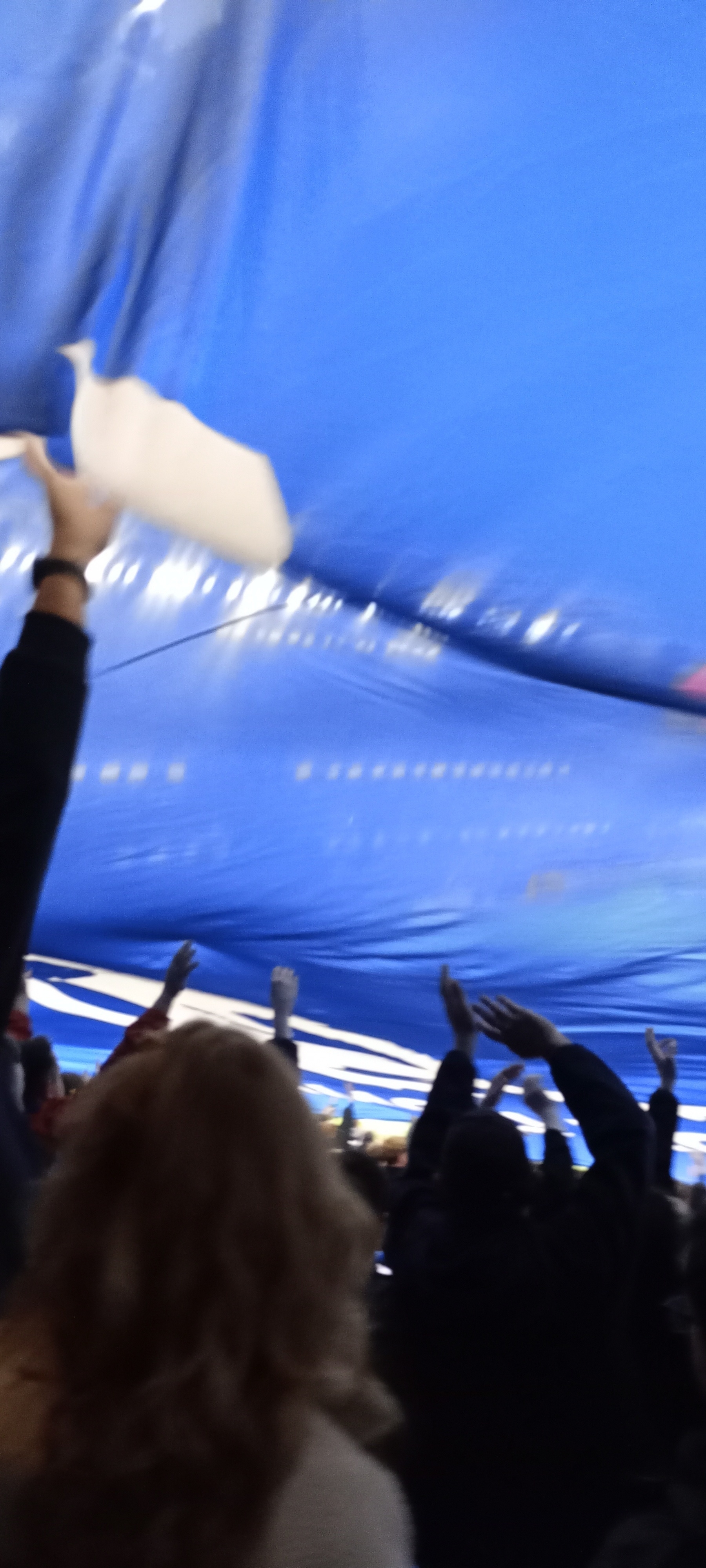 A group of people is gathered under a large blue fabric, with some reaching up towards it.