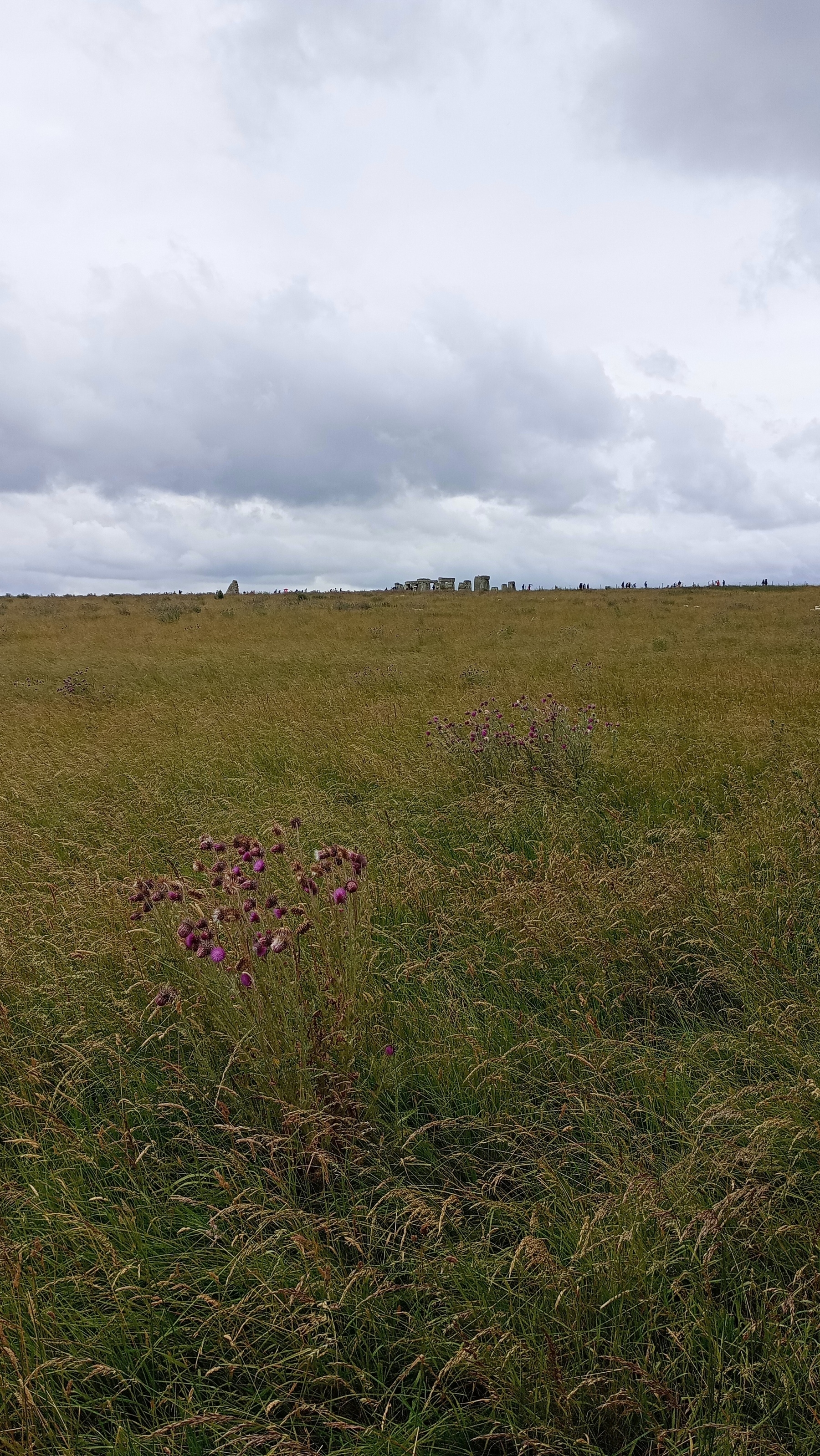 really poor photo of the henge