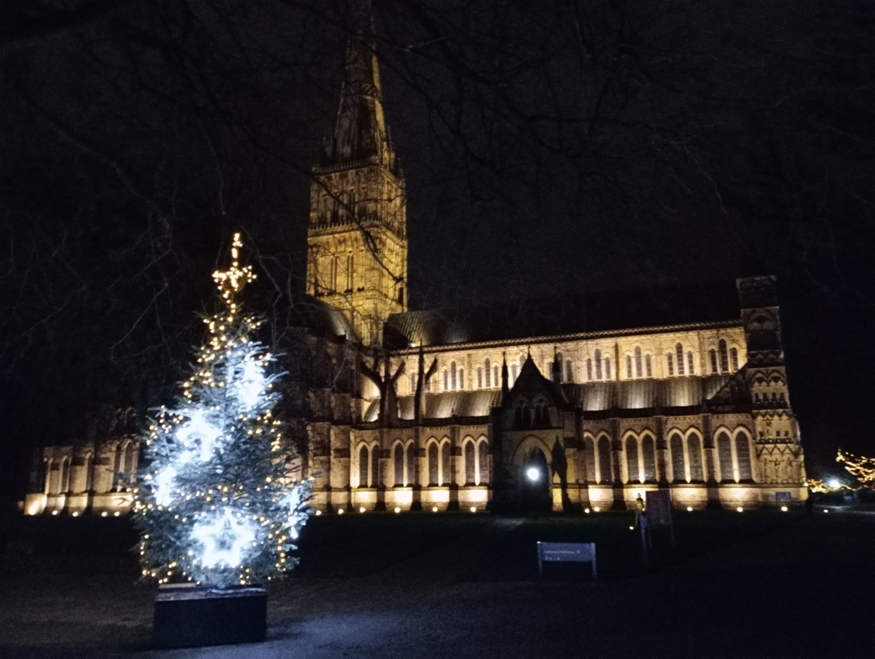 Christmas tree and cathedral