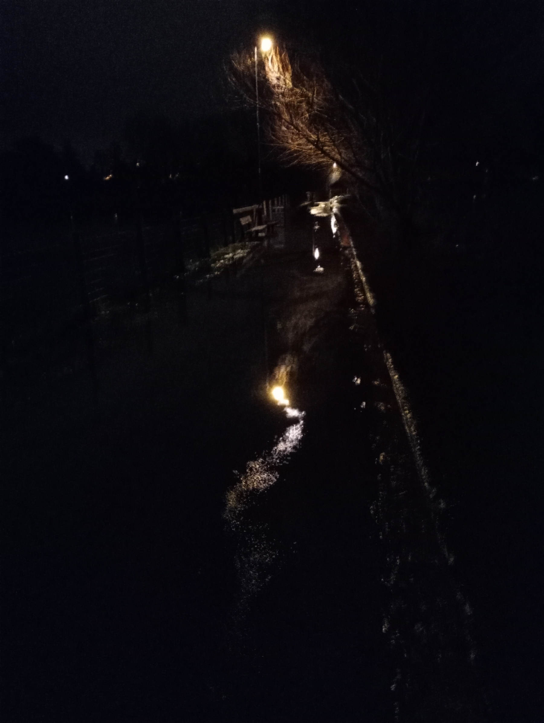 Town path in the dark,flooded