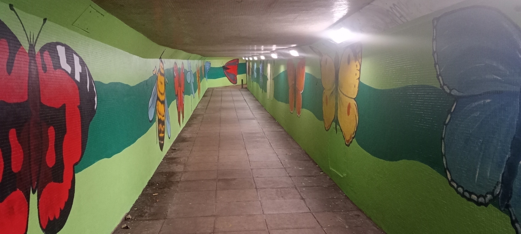 A brightly colored tunnel features large, vibrant butterfly murals on both walls.