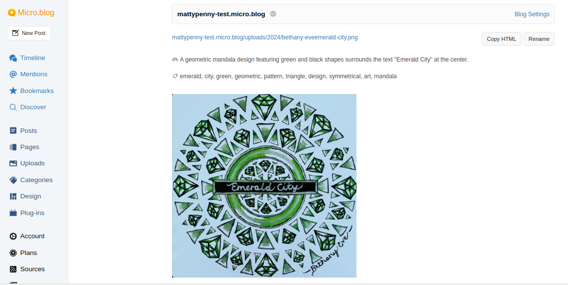 Auto-generated description: A geometric mandala design featuring green and black shapes surrounds the text Emerald City at the center.