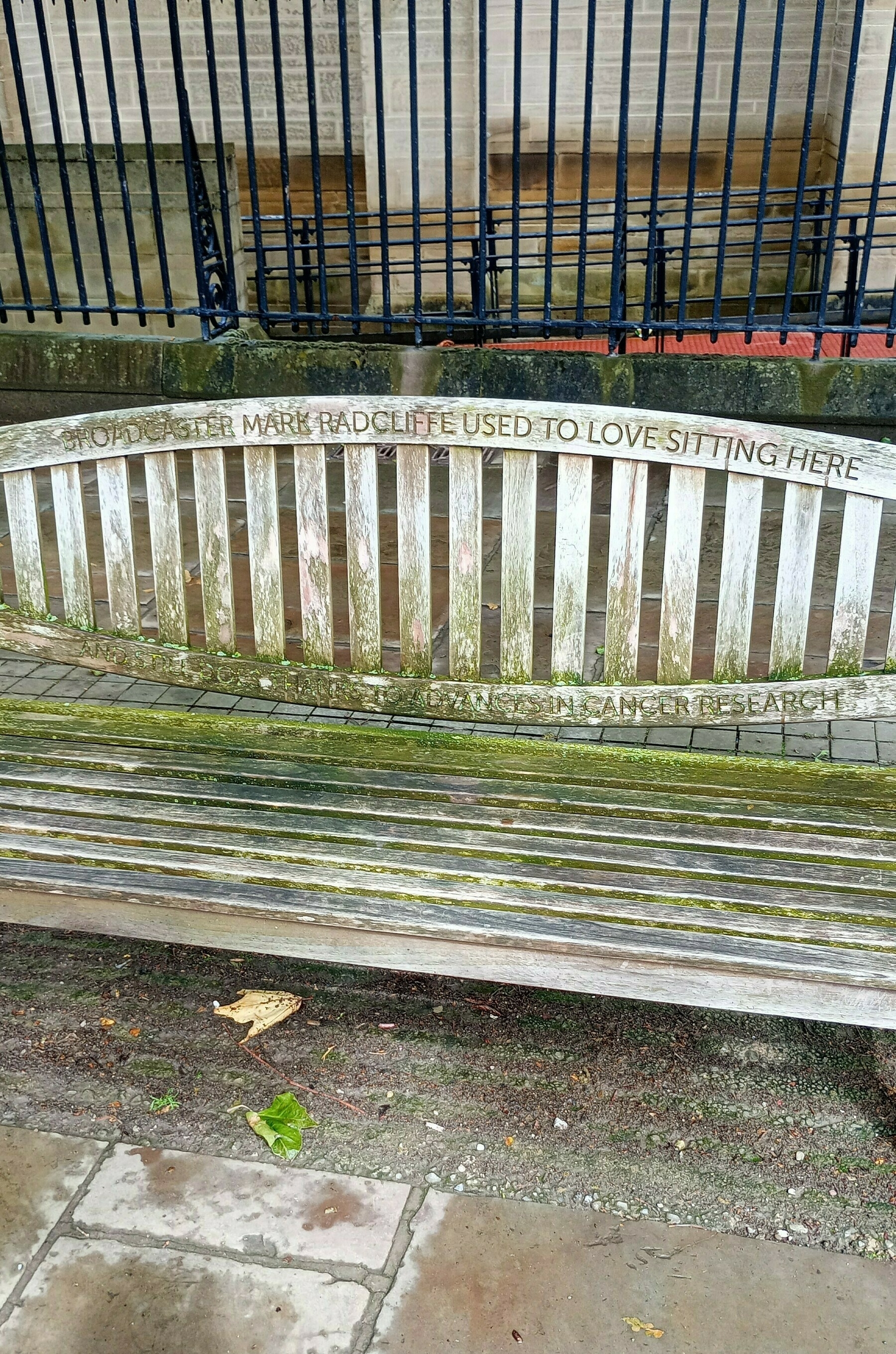 A wooden bench with an inscription reads, "Professor Mark Radcliffe used to love sitting here."