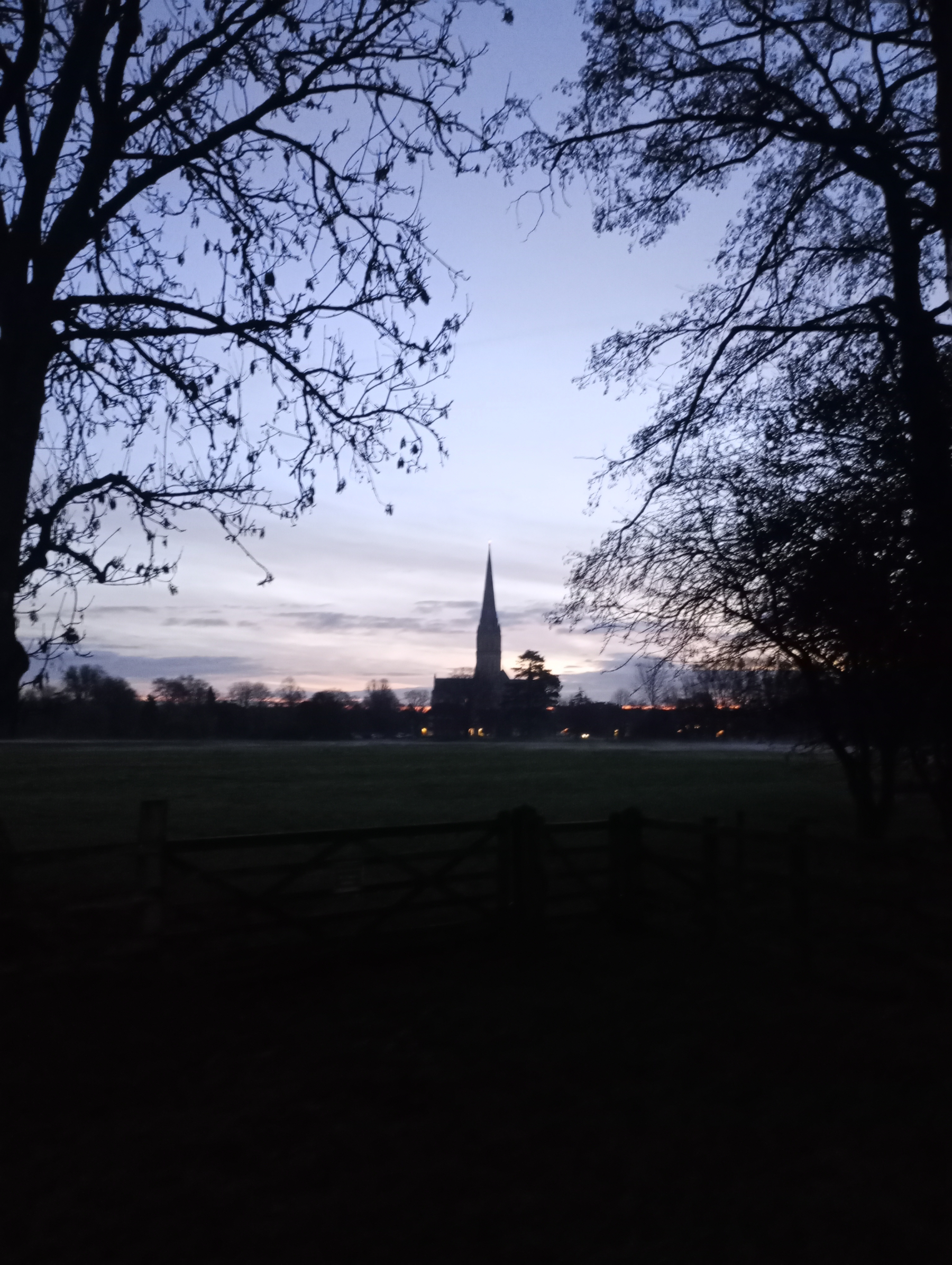 A silhouette of a tall spire is framed by leafless trees against a dusky sky.